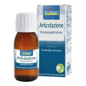 HARPAGOPHYTUM PROCUMB 60ML TM