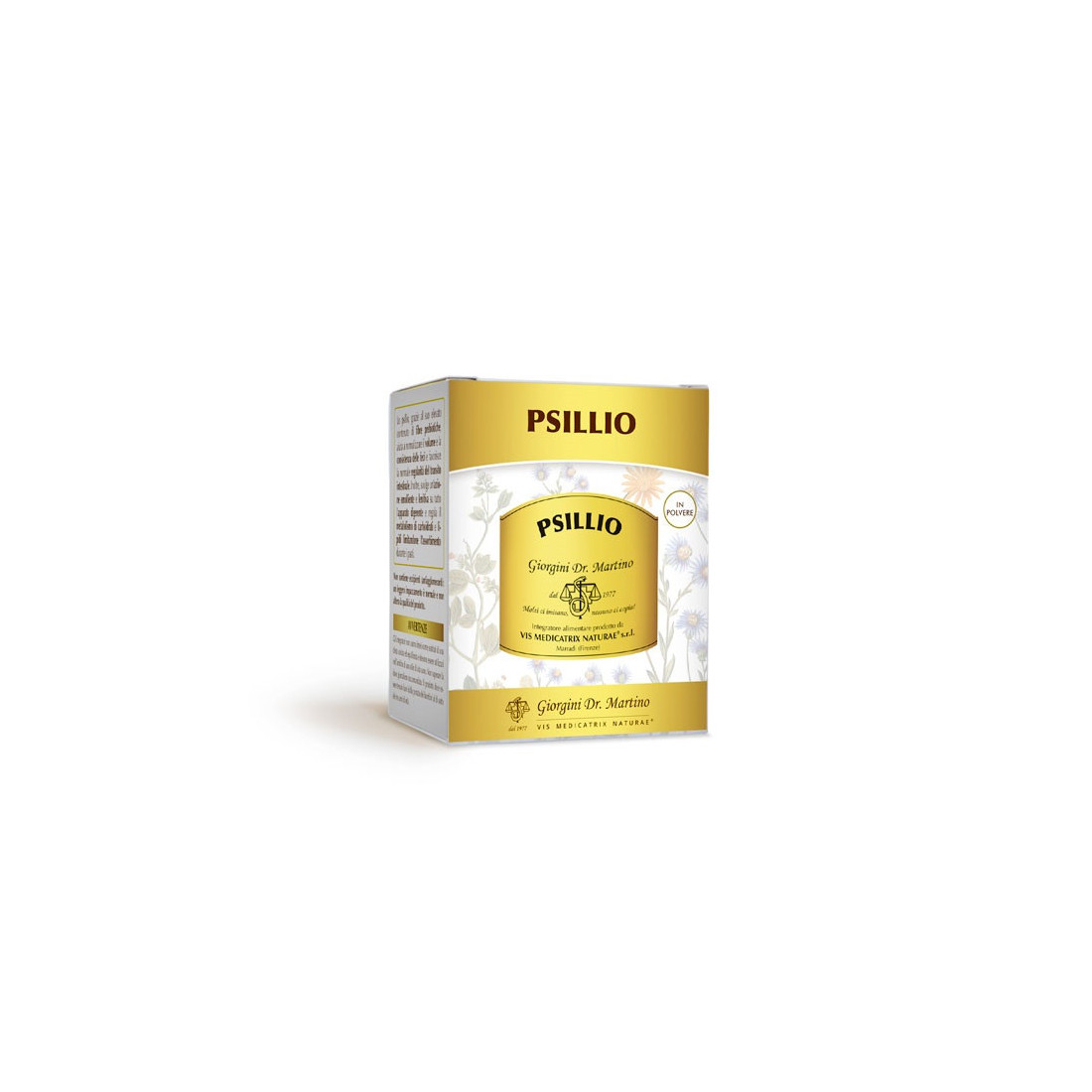 PSILLIO POLVERE 100G