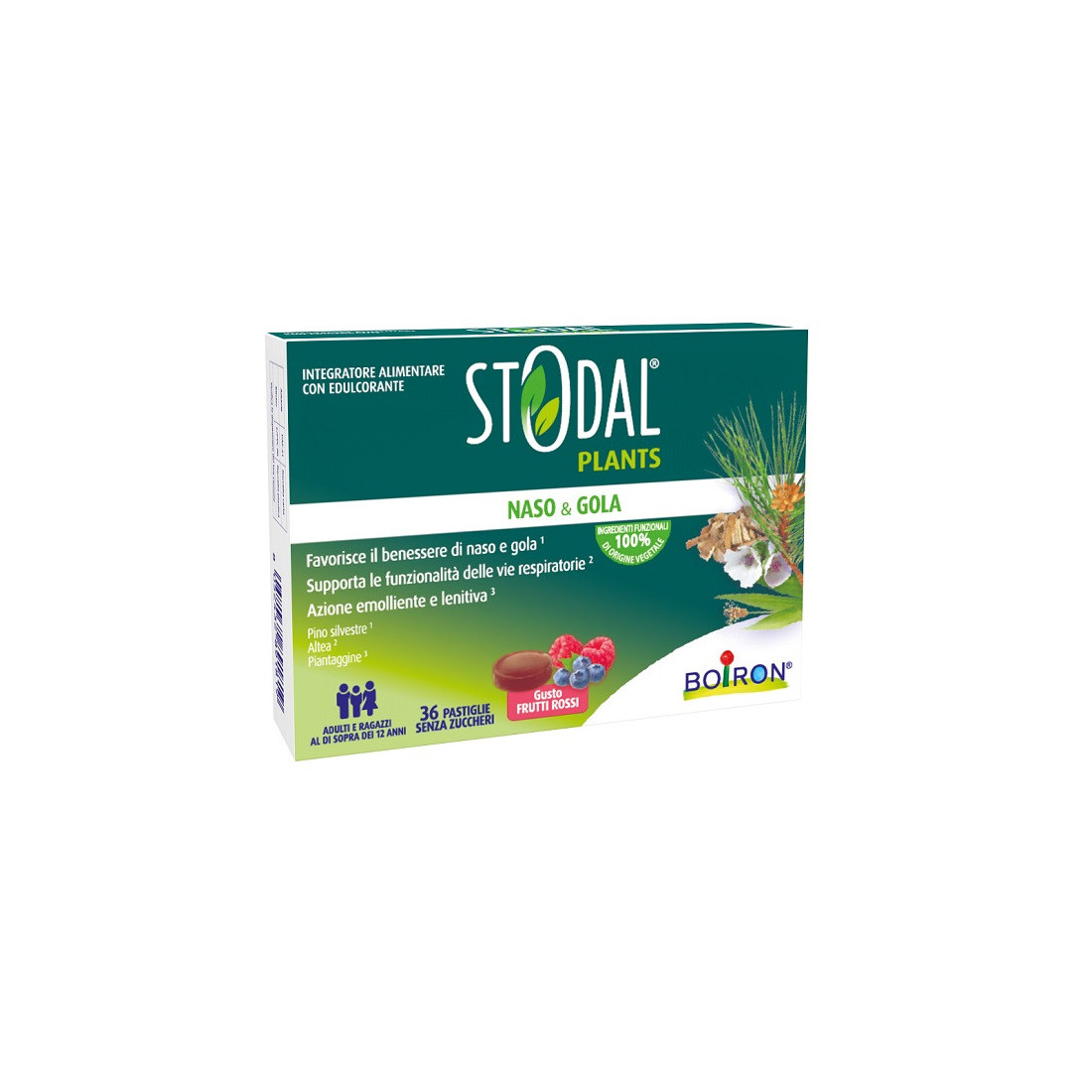 STODAL PLANTS FRUTTI RO 36PAST