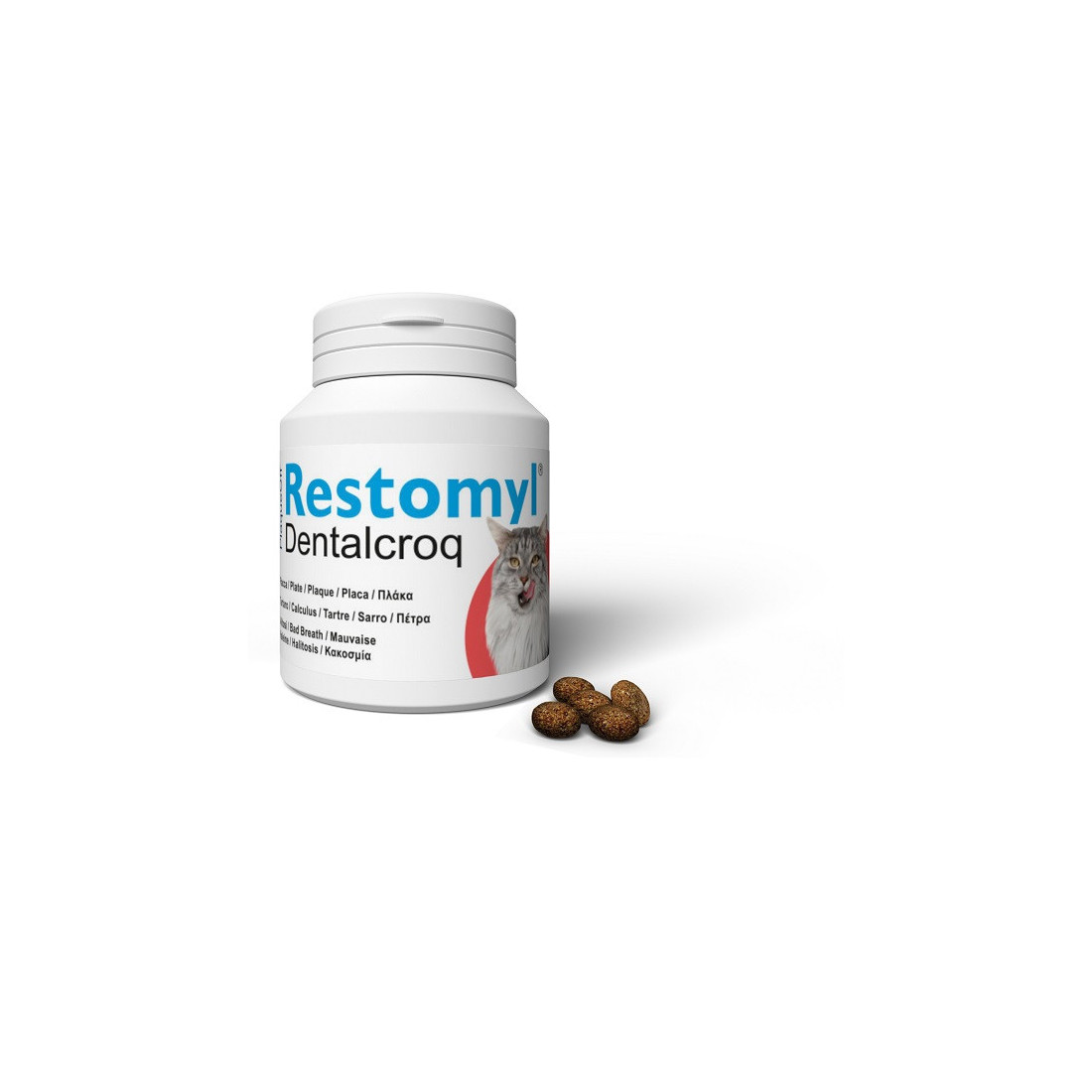 RESTOMYL DENTRALCROQ GATTO 60G