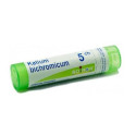 KALIUM BICHROMICUM 5CH 80GR 4G