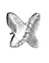 BJT213 ORECCHINI PAPILLON C SS