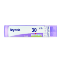 BRYONY 30CH 80GR 4G