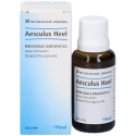AESCULUS HEEL 4DH OS GTT 30ML