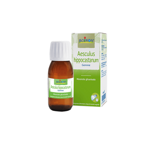 AESCULUS HIPPOCASTANUM 60ML
