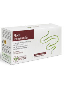 FLORA INTESTINALE 12FL 10ML