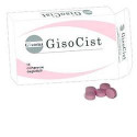 GISOCIST 15CPR DEGLUTIBILI