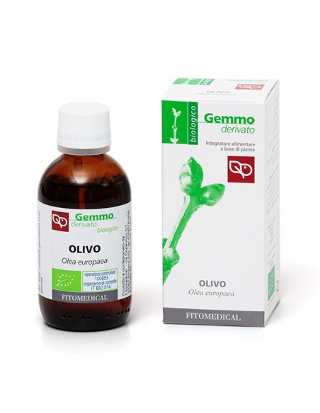 OLIVO MG BIO 50ML