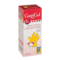 GUARIGOL SPRAY 20ML
