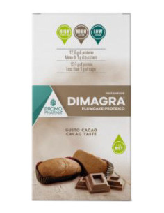 DIMAGRA PLUMCAKE CIOCCOLATO