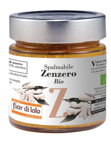 ZENZERO SPALMABILE 750G