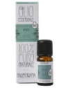 OLIO ESSENZIALE MENTA BIO NASO