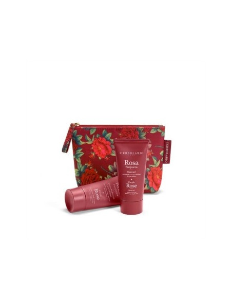 ROSA PURPUREA BEAUTY FAVOLOSA