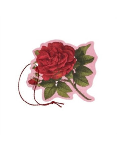 ROSA PURPUREA FIORE PROF M/USO