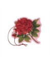 ROSA PURPUREA FIORE PROF M/USO