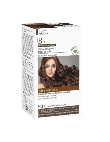 VEBIX PHYTAMIN PH COLOR NUMERO 6,0 CASTANO SCURO