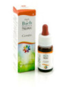 CERATO GUN GTT 10ML