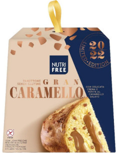 NUTRIFREE PANETTONE GRAN CARAM