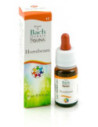 HORNBEAM GUN GTT 10ML
