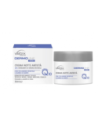 VEBIX DERMOLINE CREMA VISO NOTTE ANTIETA'