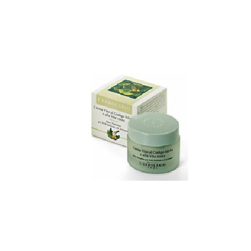 GINKGO BILOBA CREAM/VITE RO 50