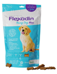FLEXADIN YOUNG MAXI 120TAV