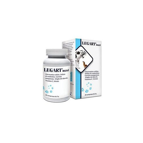 LEGART MAXI 60CPR