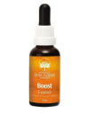 BOOST 30ML