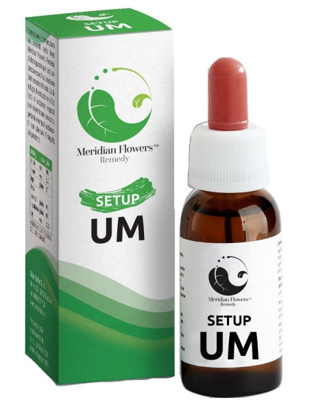 SETUP UM MERIDIAN FLOWERS REM