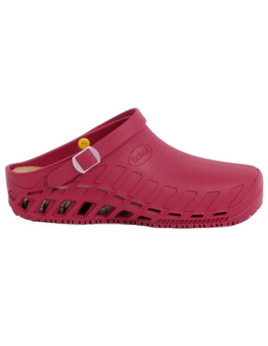 CLOG EVO TPR UNISEX WINE 36/37