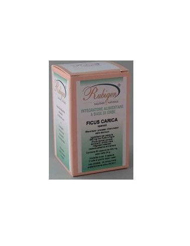 FICUS CARICA 60CPS