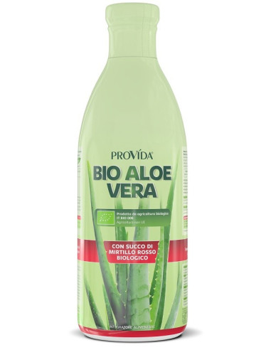 PROVIDA BIO ALOE MIRTILLO 1L