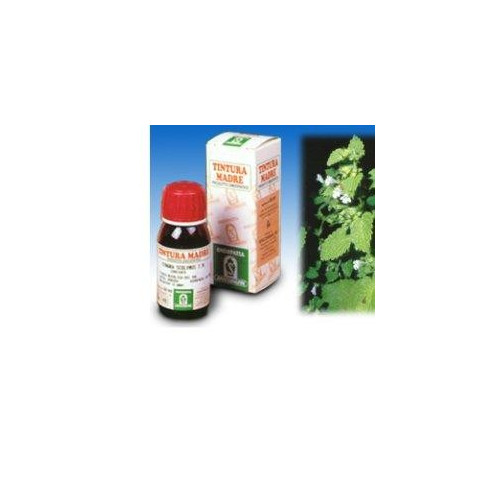 MELISSA 17 50ML TM