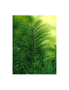 MELLIN OMOG MELA ALB 2X100G