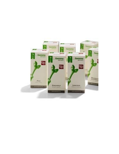 BETULLA PUBESCENS 50ML MG