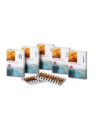 TRITICUM+I 20F 2ML