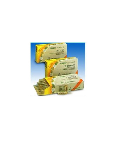 FISIOSOL PL RIBES NE 20F