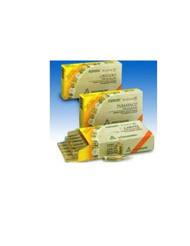 FISIOSOL PL MIRTILLO 20F