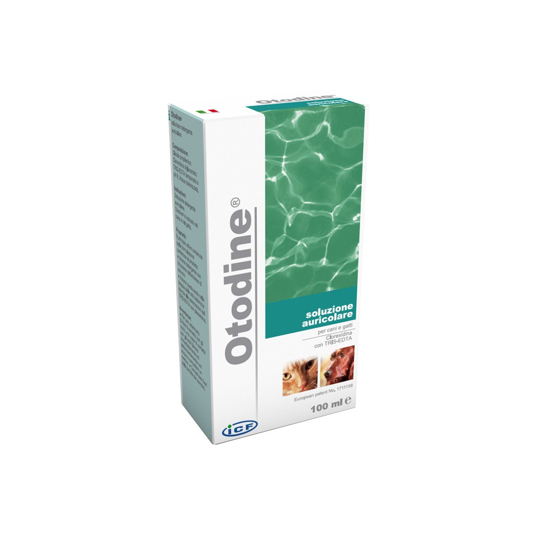 OTODINE DET LIQ 100ML