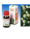 PANARTEN COMPLEX 30CPR